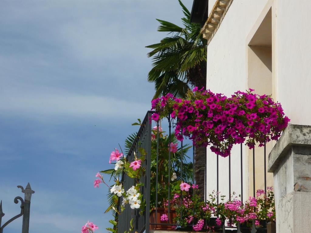 Hotel In Sylvis Sesto al Reghena Экстерьер фото